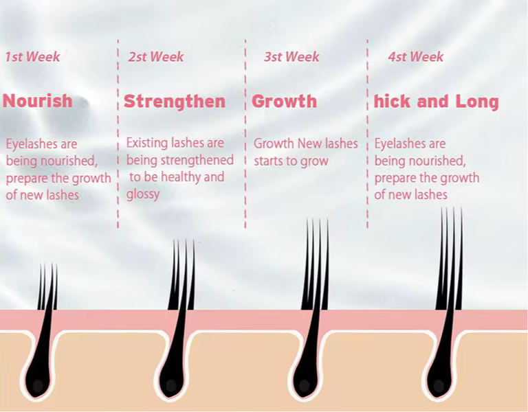 Premium Organic Lash & Brow Natural Growth Serum Set