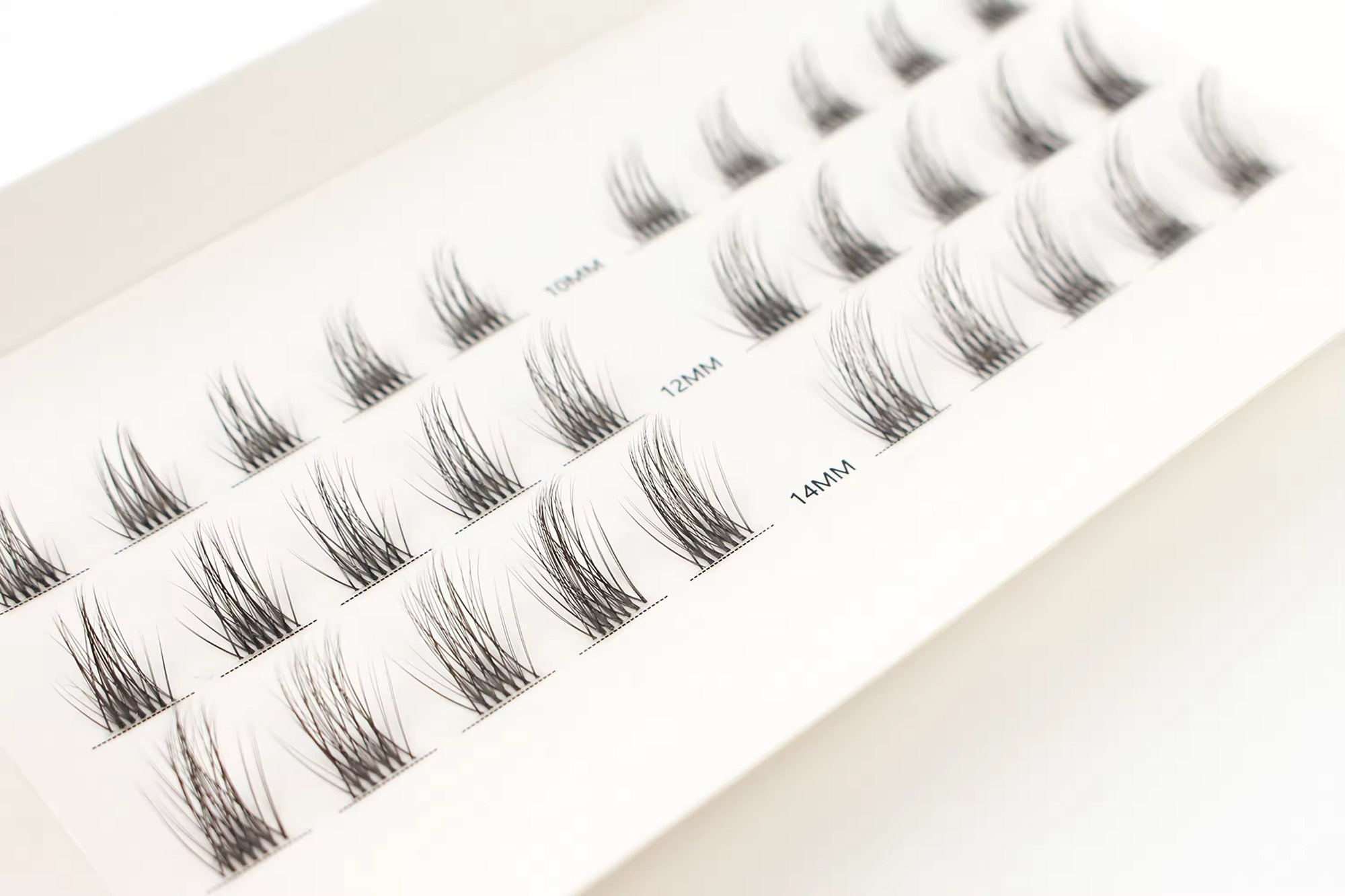 Premium Vegan DIY Lash Extensions Kit