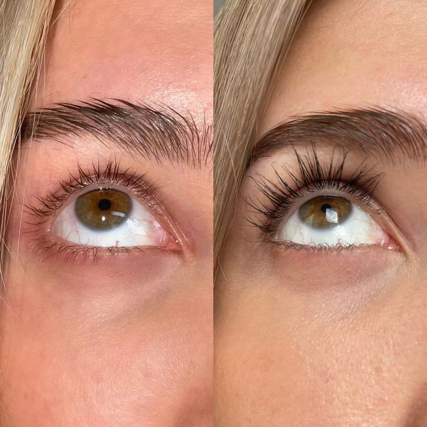 Premium Vegan Lash &amp; Brow Natural Growth Serum Set